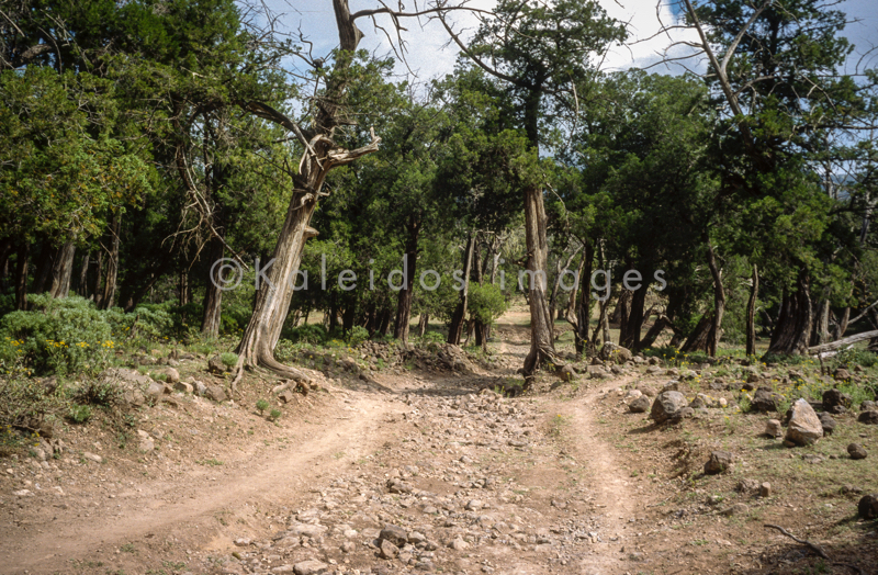 Africa;Afrique;Djibouti;Kaleidos;Kaleidos images;Landscapes;Paysages;Tarek Charara