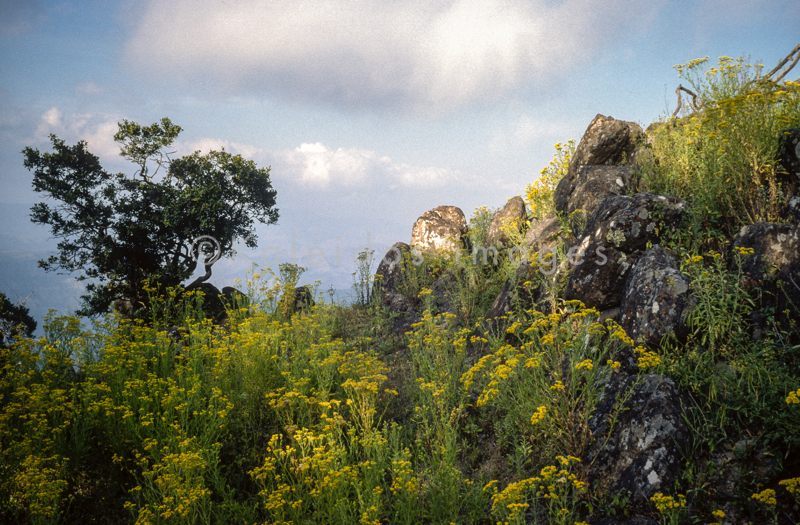 Africa;Afrique;Djibouti;Kaleidos;Kaleidos images;Landscapes;Paysages;Tarek Charara