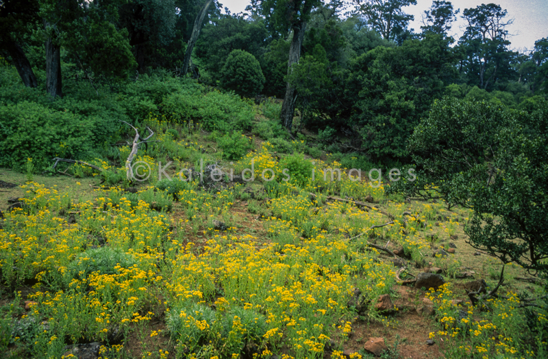 Africa;Afrique;Djibouti;Kaleidos;Kaleidos images;Landscapes;Paysages;Tarek Charara