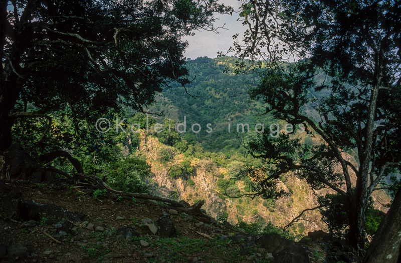 Africa;Afrique;Djibouti;Kaleidos;Kaleidos images;Landscapes;Paysages;Tarek Charara
