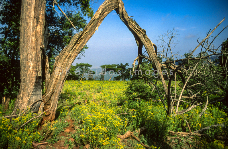 Africa;Afrique;Djibouti;Kaleidos;Kaleidos images;Landscapes;Paysages;Tarek Charara