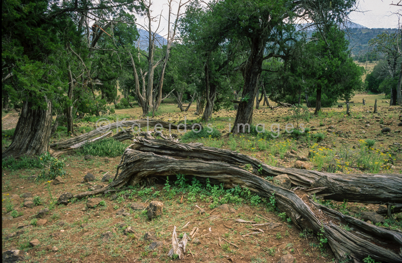 Africa;Afrique;Djibouti;Kaleidos;Kaleidos images;Landscapes;Paysages;Tarek Charara