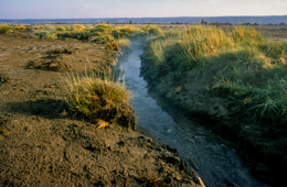 Africa;Djibouti;Kaleidos;Kaleidos-images;Lake-Abbe;Lake-Abhe-Bad;Tarek-Charara;Brooks;Water;Stream