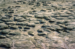 Africa;Close-up;Detail;Djibouti;Kaleidos;Kaleidos-images;Lake-Abbe;Lake-Abhe-Bad;Mud;Tarek-Charara