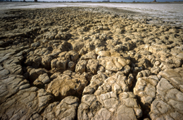 Africa;Close-up;Detail;Djibouti;Kaleidos;Kaleidos-images;Lake-Abbe;Lake-Abhe-Bad;Mud;Tarek-Charara