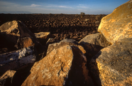 Africa;Afrique;Desert;Deserts;Djibouti;Désert;Déserts;Kaleidos;Kaleidos-images;Landscapes;Paysage;Paysages;Qaid;Qaid-Yar;Qaïd;Qaïd-Yar;Rock;Rocks;Tarek-Charara