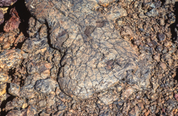 Africa;Afrique;Djibouti;Ghoubbet-el-Kharab;Ghoubet-al-Kharab;Kaleidos;Kaleidos-images;Tarek-Charara