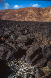 Africa;Afrique;Djibouti;Ghoubbet-el-Kharab;Ghoubet-al-Kharab;Kaleidos;Kaleidos-images;Landscapes;Paysages;Tarek-Charara