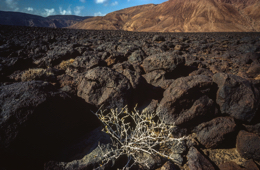 Africa;Afrique;Djibouti;Ghoubbet-el-Kharab;Ghoubet-al-Kharab;Kaleidos;Kaleidos-images;Landscapes;Paysages;Tarek-Charara