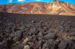 Africa;Afrique;Djibouti;Ghoubbet-el-Kharab;Ghoubet-al-Kharab;Kaleidos;Kaleidos-images;Landscapes;Paysages;Tarek-Charara
