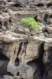 Africa;Afrique;Djibouti;Kaleidos;Kaleidos-images;Landscapes;Paysages;Tarek-Charara