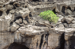Africa;Afrique;Djibouti;Kaleidos;Kaleidos-images;Landscapes;Paysages;Tarek-Charara