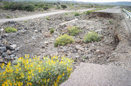 Africa;Afrique;Djibouti;Kaleidos;Kaleidos-images;Tarek-Charara