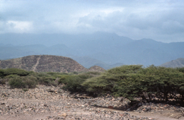 Africa;Afrique;Djibouti;Kaleidos;Kaleidos-images;Tarek-Charara