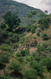 Africa;Afrique;Djibouti;Kaleidos;Kaleidos-images;Landscapes;Paysages;Tarek-Charara