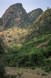 Africa;Afrique;Djibouti;Kaleidos;Kaleidos-images;Landscapes;Paysages;Tarek-Charara