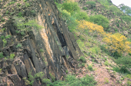 Africa;Afrique;Djibouti;Kaleidos;Kaleidos-images;Landscapes;Paysages;Tarek-Charara