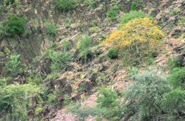 Africa;Afrique;Djibouti;Kaleidos;Kaleidos-images;Landscapes;Paysages;Tarek-Charara
