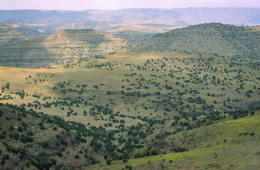 Africa;Afrique;Djibouti;Kaleidos;Kaleidos-images;Landscapes;Paysages;Tarek-Charara