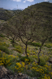 Africa;Afrique;Djibouti;Kaleidos;Kaleidos-images;Landscapes;Paysages;Tarek-Charara