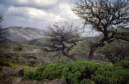 Africa;Afrique;Djibouti;Kaleidos;Kaleidos-images;Landscapes;Paysages;Tarek-Charara