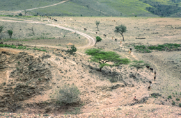 Africa;Afrique;Djibouti;Kaleidos;Kaleidos-images;Landscapes;Paysages;Tarek-Charara