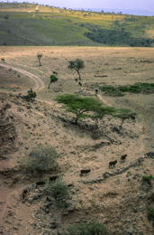 Africa;Afrique;Djibouti;Kaleidos;Kaleidos-images;Landscapes;Paysages;Tarek-Charara