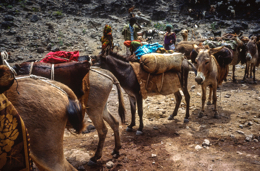 Africa;Afrique;Djibouti;Kaleidos;Kaleidos-images;Tarek-Charara