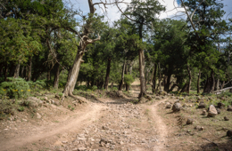 Africa;Afrique;Djibouti;Kaleidos;Kaleidos-images;Landscapes;Paysages;Tarek-Charara