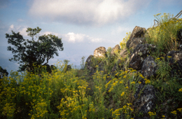 Africa;Afrique;Djibouti;Kaleidos;Kaleidos-images;Landscapes;Paysages;Tarek-Charara