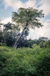 Africa;Afrique;Djibouti;Kaleidos;Kaleidos-images;Landscapes;Paysages;Tarek-Charara