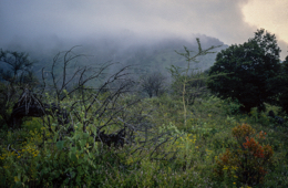 Africa;Afrique;Djibouti;Kaleidos;Kaleidos-images;Landscapes;Paysages;Tarek-Charara