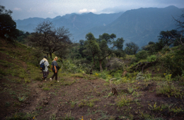 Africa;Afrique;Djibouti;Kaleidos;Kaleidos-images;Landscapes;Paysages;Tarek-Charara