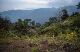 Africa;Afrique;Djibouti;Kaleidos;Kaleidos-images;Landscapes;Paysages;Tarek-Charara