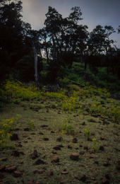 Africa;Afrique;Djibouti;Kaleidos;Kaleidos-images;Landscapes;Paysages;Tarek-Charara