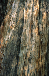 Africa;Afrique;Djibouti;Kaleidos;Kaleidos-images;Tarek-Charara