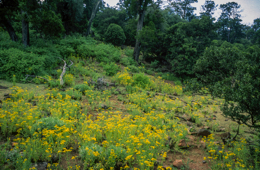Africa;Afrique;Djibouti;Kaleidos;Kaleidos-images;Landscapes;Paysages;Tarek-Charara