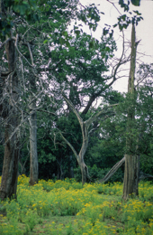 Africa;Afrique;Djibouti;Kaleidos;Kaleidos-images;Landscapes;Paysages;Tarek-Charara
