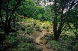 Africa;Afrique;Djibouti;Kaleidos;Kaleidos-images;Landscapes;Paysages;Tarek-Charara