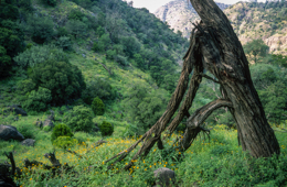 Africa;Afrique;Djibouti;Kaleidos;Kaleidos-images;Landscapes;Paysages;Tarek-Charara