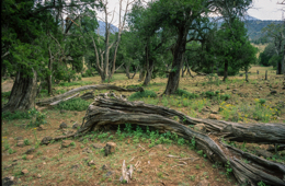 Africa;Afrique;Djibouti;Kaleidos;Kaleidos-images;Landscapes;Paysages;Tarek-Charara