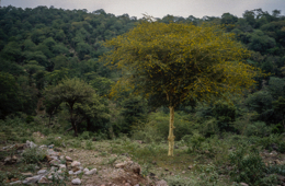 Africa;Afrique;Djibouti;Kaleidos;Kaleidos-images;Landscapes;Paysages;Tarek-Charara