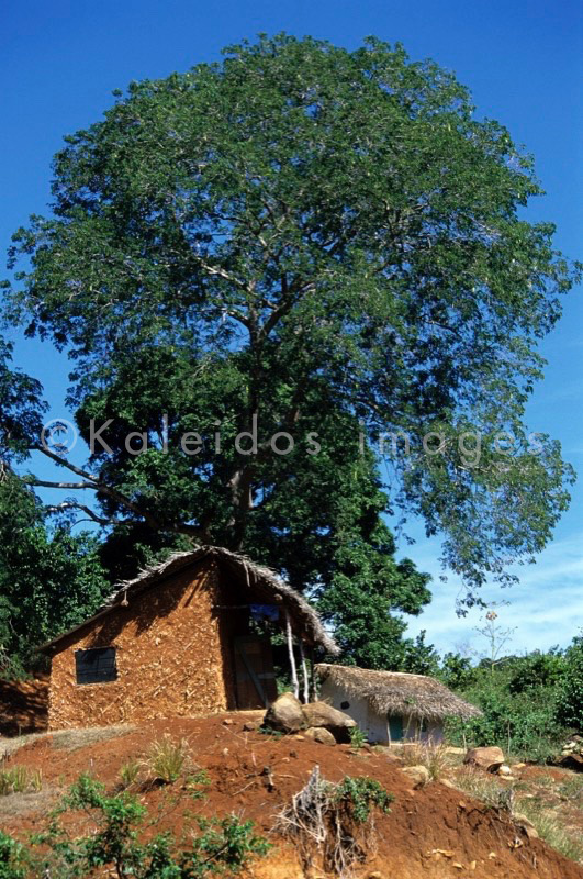 Mayotte;Comoros;Banga;Condtructions;Buildings;Dwellings;Architecture;Africa