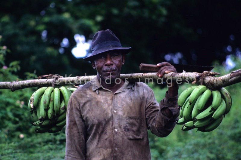 Mayotte;Comoros;Man;Men;Bananas;Banana bunches