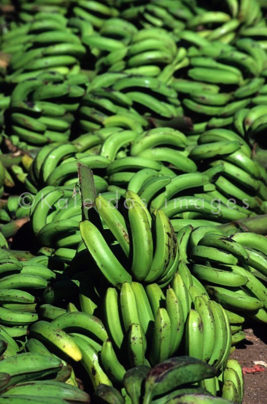 Mayotte;Comoros;Bananas;Banana bunches;Green