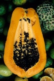 Comoros-Archipelago;-Food;-France;-Fruit;-Indian-Ocean;-Kaleidos;-Kaleidos-images;-La-parole-à-limage;-Laurent-Abad;-Lime;-Market;-Mayotte;-Papaya;-Seeds;-Still-life;-Stories-Pictures