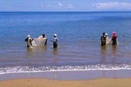 Mayotte;Comoros;Indian-Ocean;Fishing;Tropical;Beach;Africa;Blue;Sea;Ocean;Water;Woman;Women