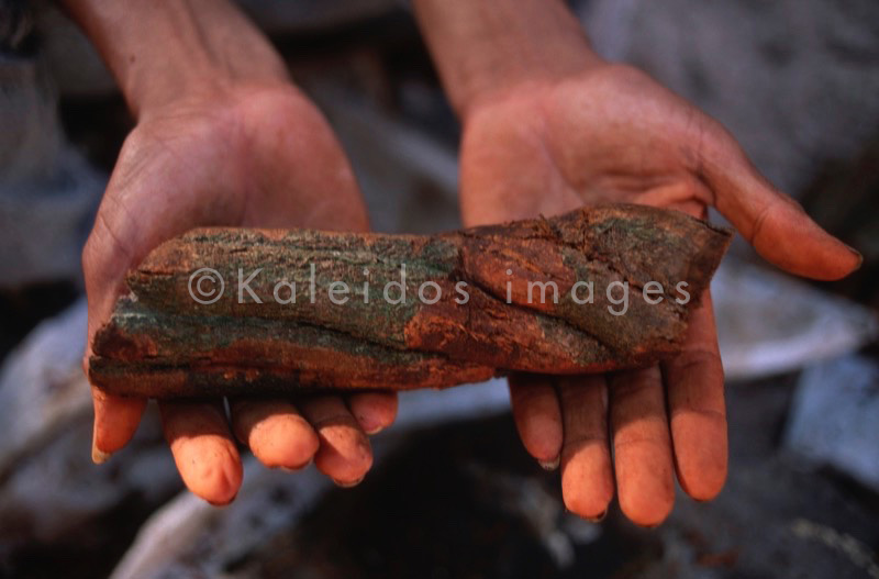 Takiwasi;Banisteriopsis Caapi,Ayahuasca,Hervé Merliac,Kaleidos images;La parole à l'image