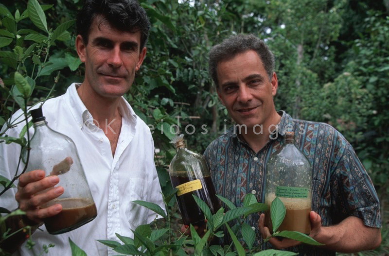 Banisteriopsis Caapi;Ayahuasca;Hervé Merliac;Kaleidos images;Jacques Mabit;Dynosio Santos;Takiwasi