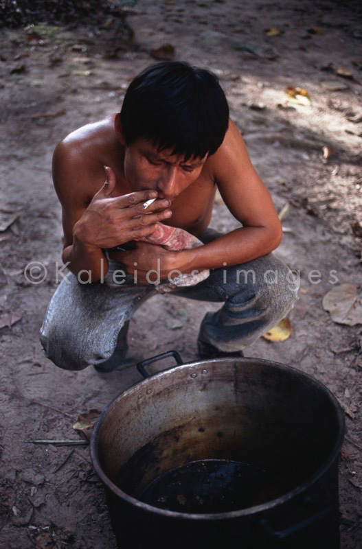 Banisteriopsis Caapi,Ayahuasca,Takiwasi;Banisteriopsis Caapi,Ayahuasca,Hervé Merliac,Kaleidos images;La parole à l'image;Vegetalista